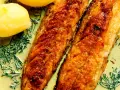 Två gyllene filéer av stekt makrill i en krämig sås med dill och kokt potatis.