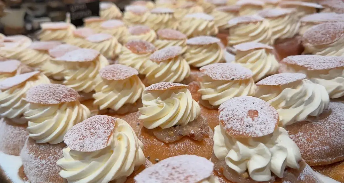 En hel hylla full med semlor, redo för semmeldagen. Krämig grädde och pudrat florsocker.