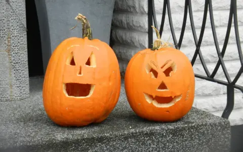 Två utskurna pumpor med läskiga ansikten står redo för halloween vecka.