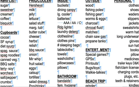 En detaljerad packlista camping med allt från mat och köksutrustning till kläder och personliga tillhörigheter.