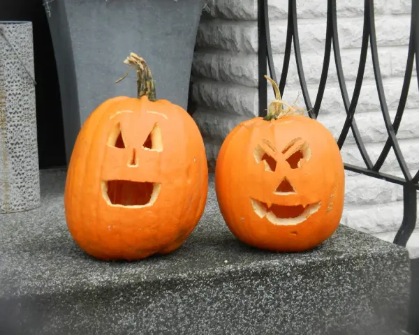 Två utskurna pumpor med läskiga ansikten står redo för halloween vecka.