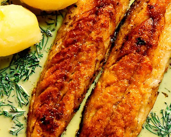 Två gyllene filéer av stekt makrill i en krämig sås med dill och kokt potatis.