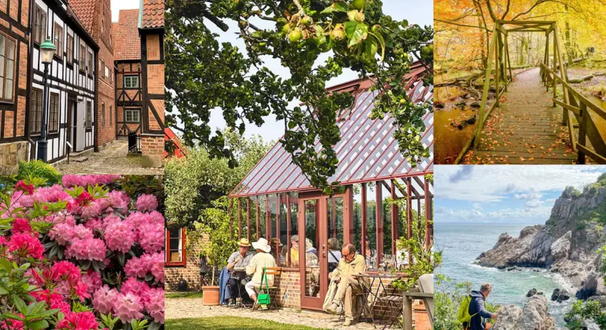 Vackra vyer från Skåne: korsvirkeshus, blommor, växthus, höstbro, kust och en person som letar efter geocaching.