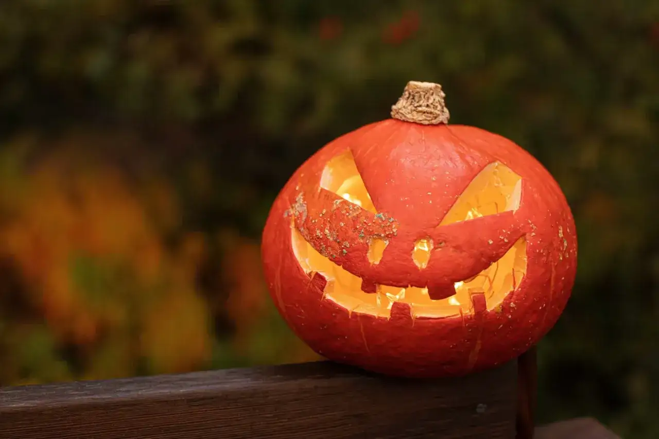 En utskuren pumpa med ett läskigt ansikte lyser upp i mörkret. En rolig halloween fakta att dela!