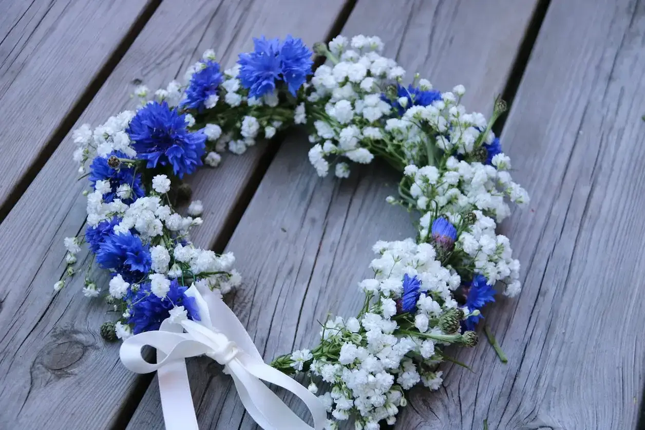 Blåklintskrans med små vita blommor och vita band, perfekt för midsommar afton.
