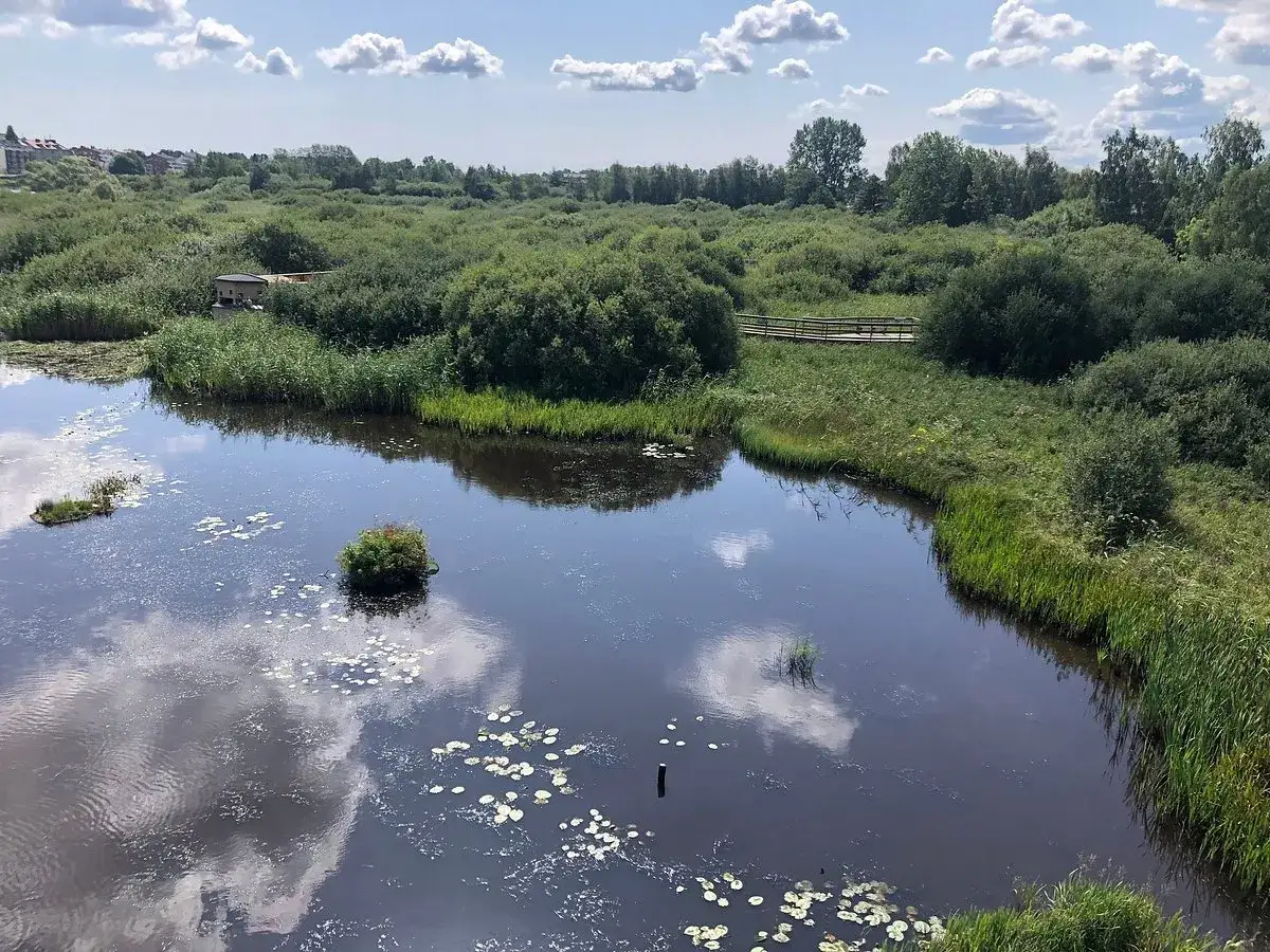 Vacker natur och promenadstr&aring;k vid Kristianstad aktiviteter. En sj&ouml; med n&auml;ckrosor och en tr&auml;bro genom gr&ouml;nskan.
