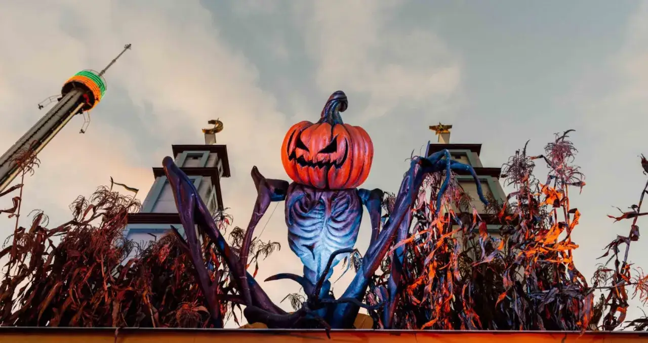 En kuslig pumpamann med skelettkropp och spindelben tronar bland torkad majs. En n&ouml;jespark f&ouml;rbereder sig f&ouml;r halloween vecka med skr&auml;ckinjagande dekorationer.